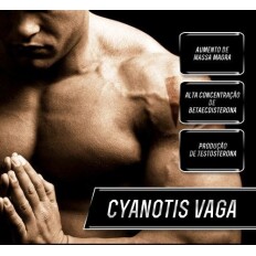 Cyanotis Vaga ( 70% B-Ecdisterona) 225mg 